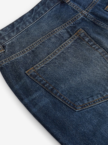 Next Loose fit Jeans in Blue