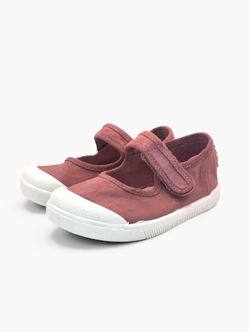 Pisamonas Ballerina's in Roze