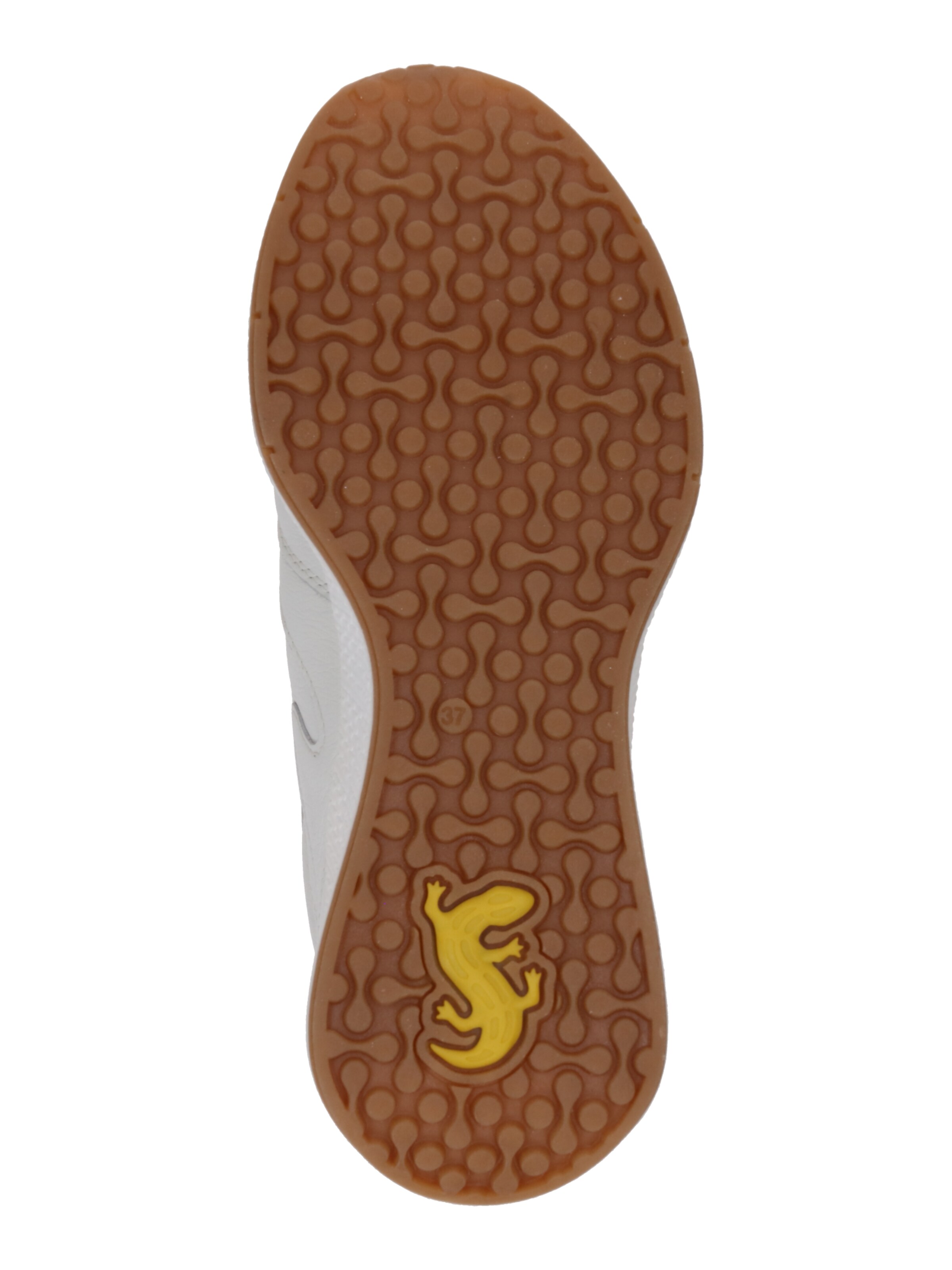 Sneaker bassa di SALAMANDER in bianco