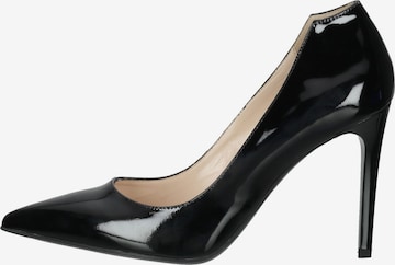 Nero Giardini Pumps in Schwarz