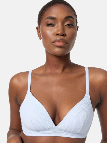 DIM Triangel BH in Blauw
