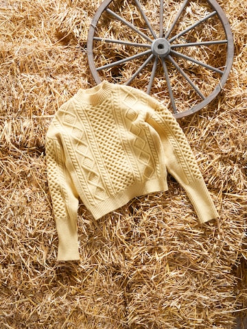 Kendall for ABOUT YOU Sweater 'Caren' in Yellow