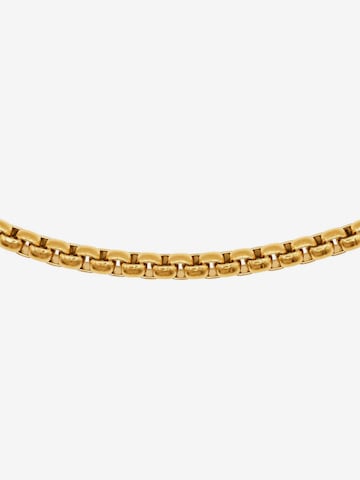 Heideman Necklace 'Melu' in Gold