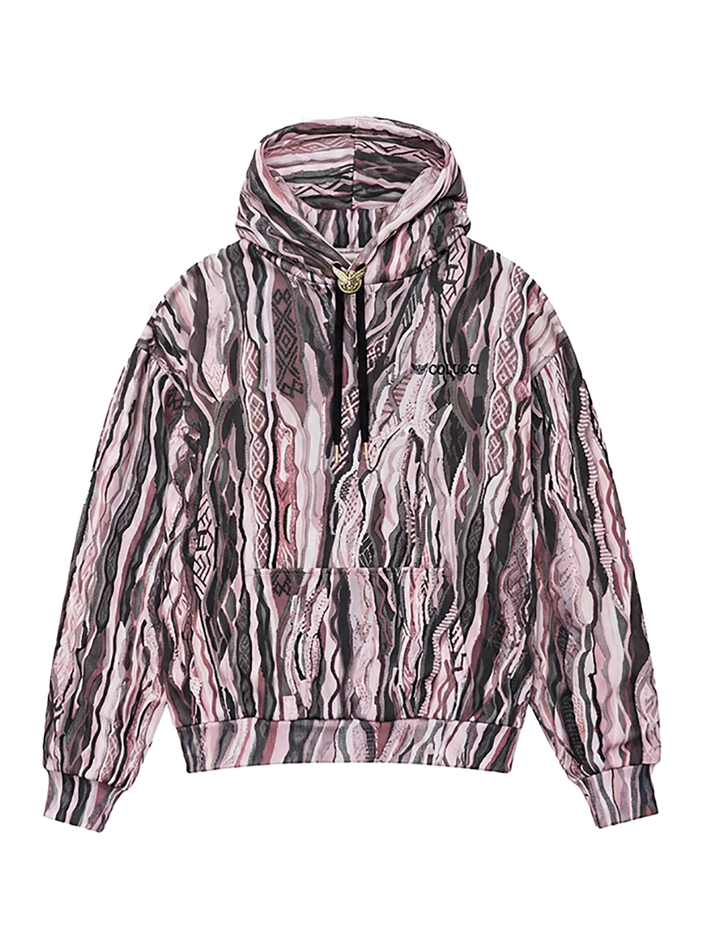 Colucci Sweatshirt 'Signature'‌‌‌‌‌‌‌ in Mischfarben: Vorderseite