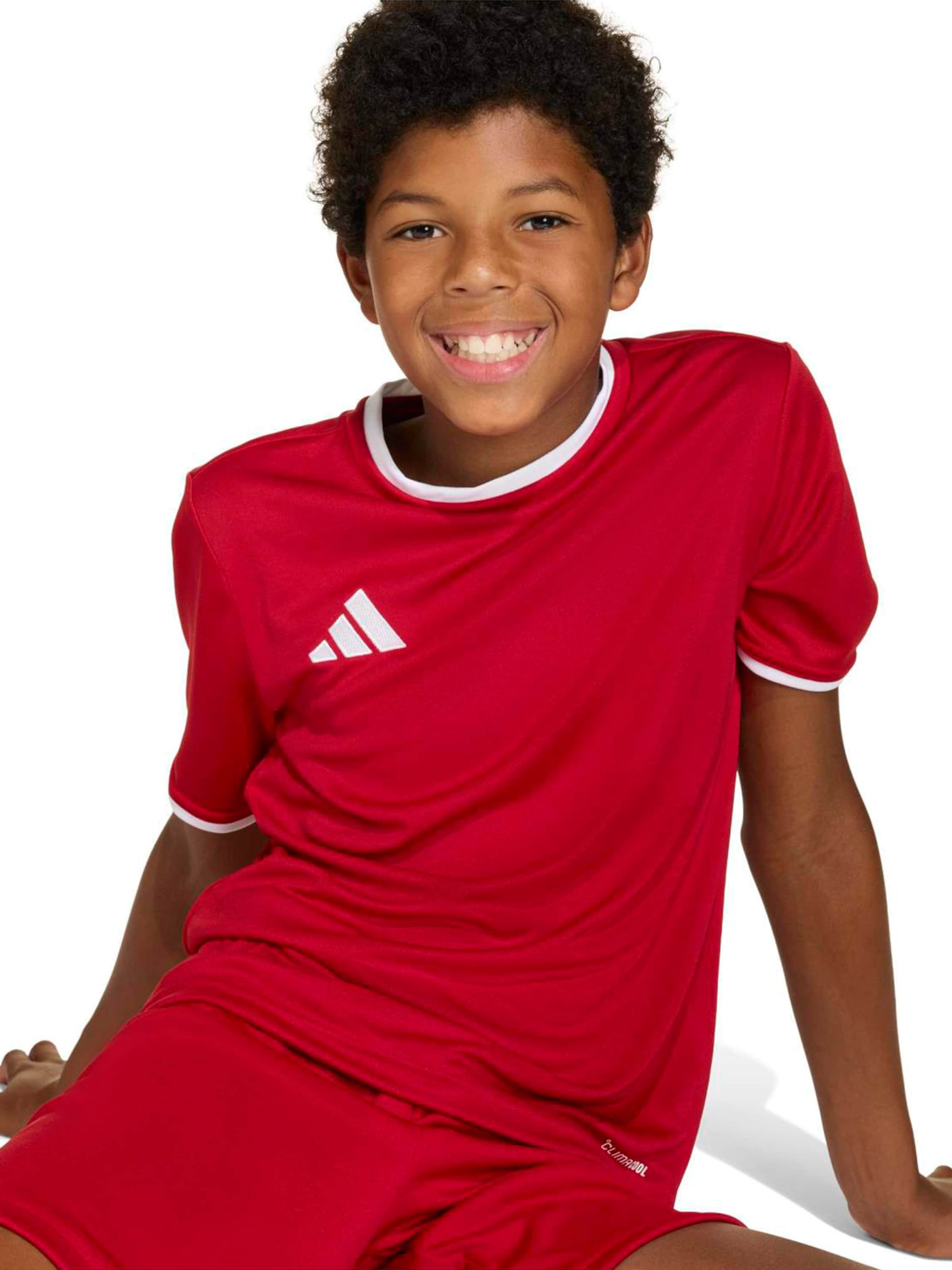 ADIDAS PERFORMANCE Funkční tričko 'ENT26' – červená