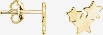 Sofia Milani Ohrringe 'Stars' in Gold: Vorderseite
