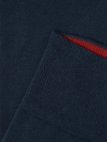 Von Jungfeld Socks 'SIGNATURE' in Blue