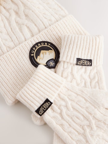 bēšs Superdry Komplekts