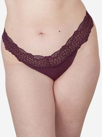 SugarShape String ' Pure Lace ' in Braun