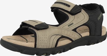 Sandalo 'U S.Strada D' di GEOX in beige: frontale
