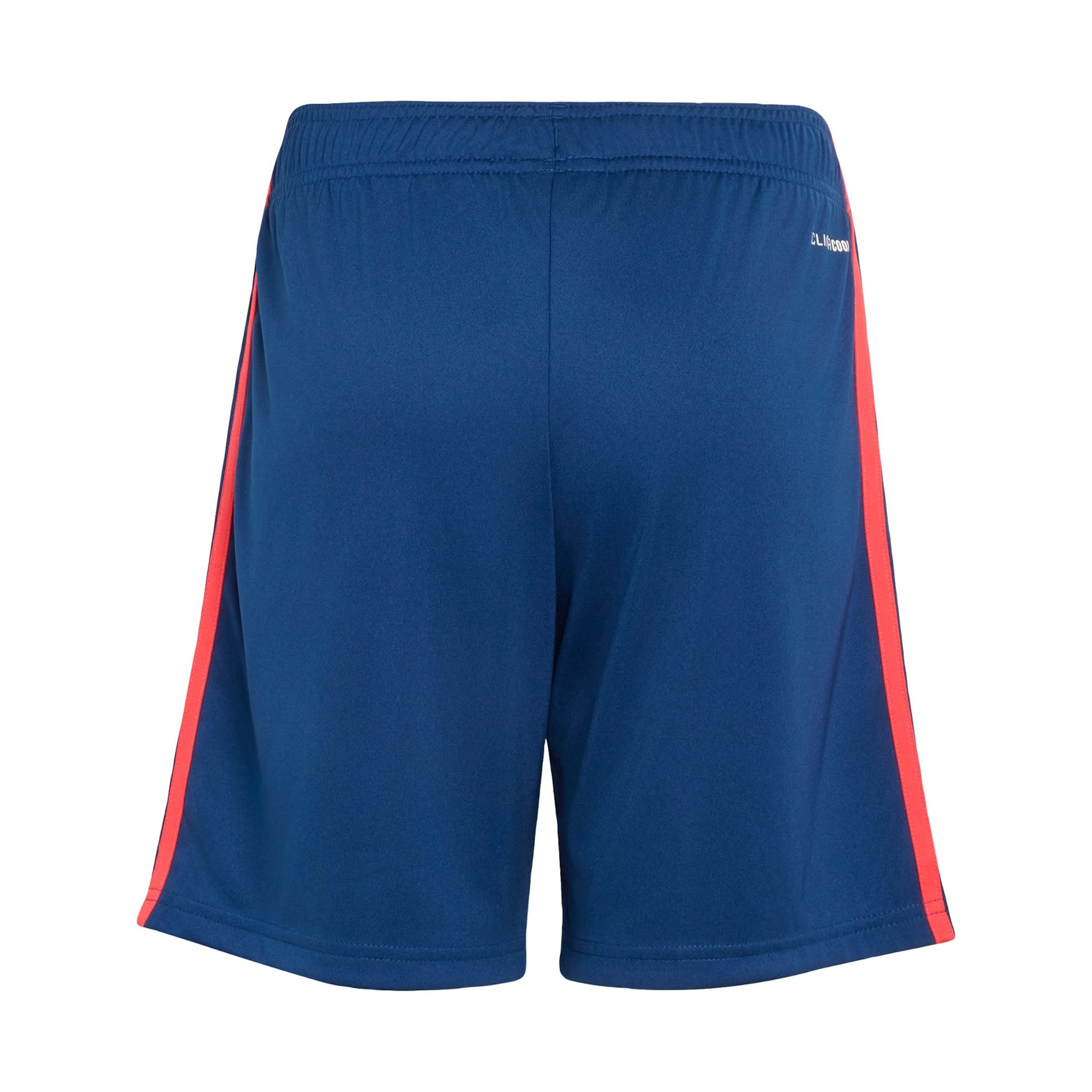ADIDAS PERFORMANCE Regular Sportshorts 'Kroatien 26' in Blau