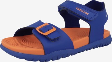 GEOX Sandals & Slippers in Blue: front