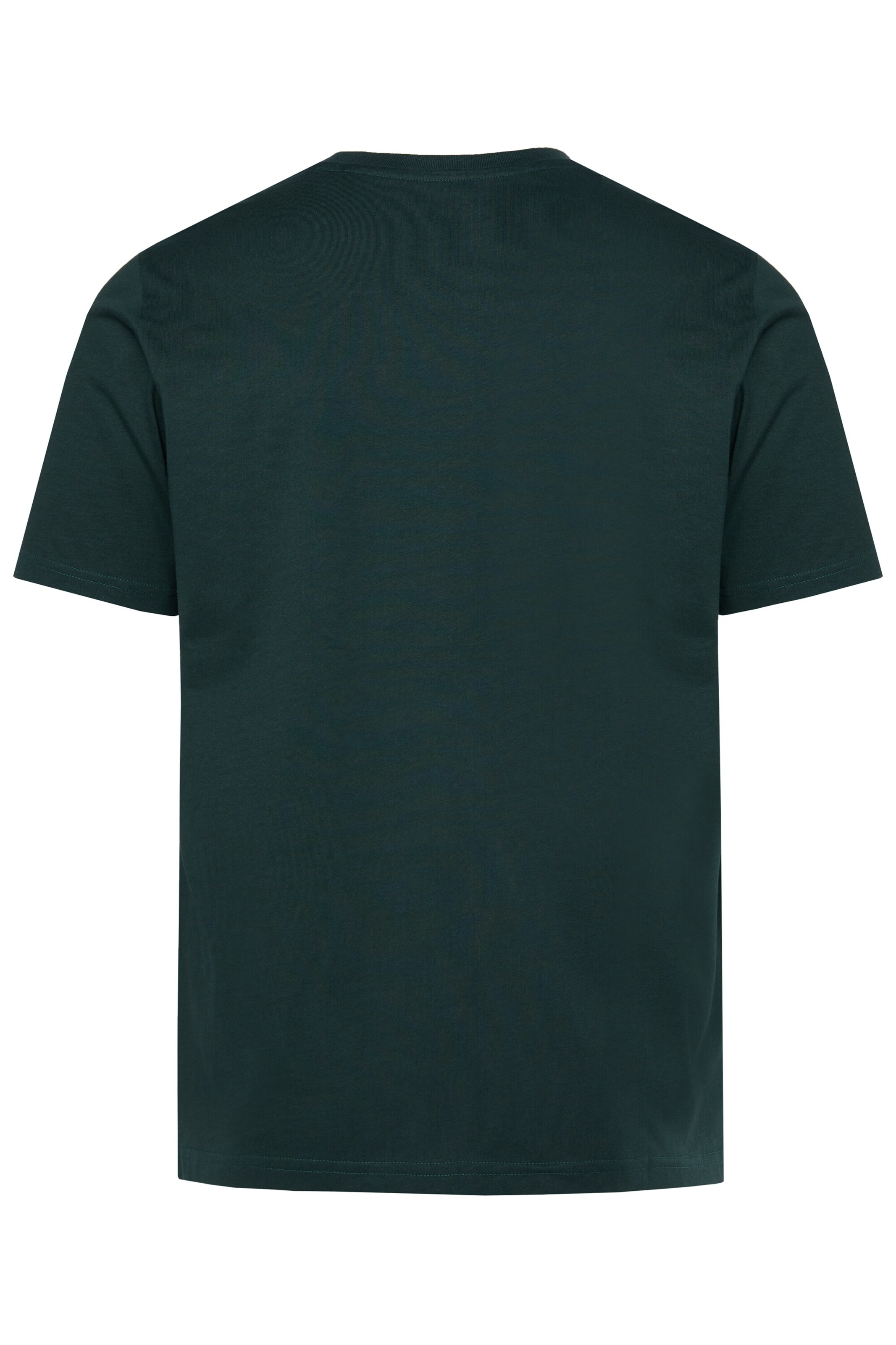 Men Plus Shirt in Green