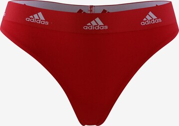 ADIDAS SPORTSWEAR Tanga ' Active Comfort Cotton ' in Grau