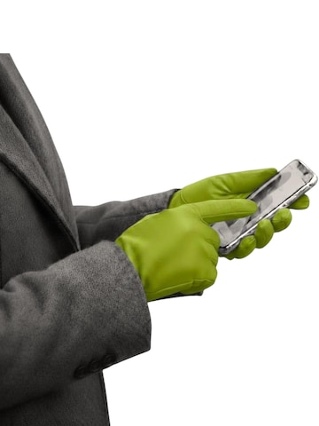 KESSLER Fingerhandschuhe‌‌‌‌‌ in Grün