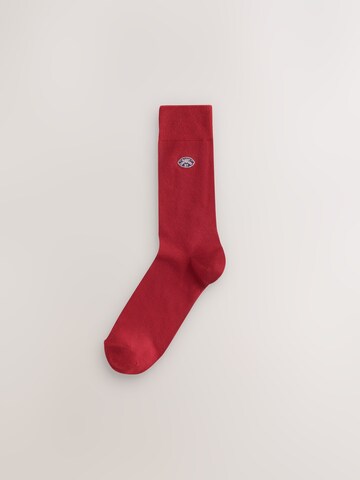 Next Socks in Beige