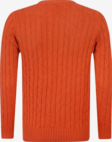 DENIM CULTURE Sweater 'Jeffrey' in Orange