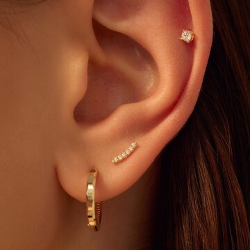 Beloro Jewels Earrings in Gold