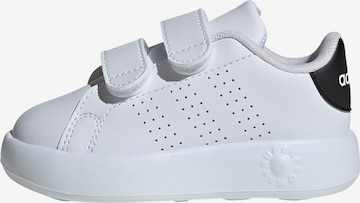 ADIDAS ORIGINALS Sneakers 'Advantage' in White: front
