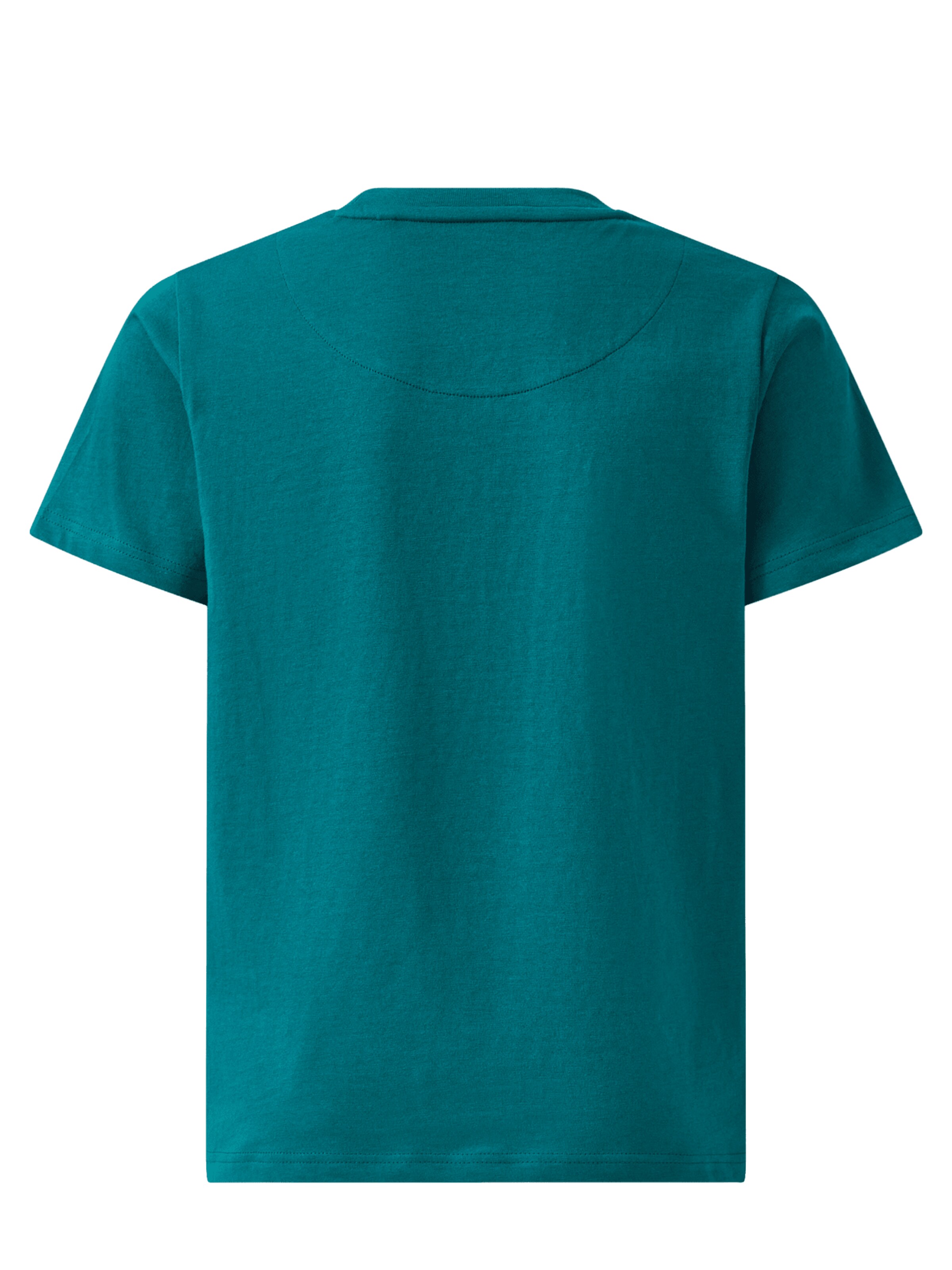 FC BAYERN MÜNCHEN Shirt in Green