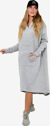 Lumera Kleid in Grau: Vorderseite