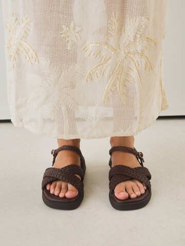 Next Sandal in Brown