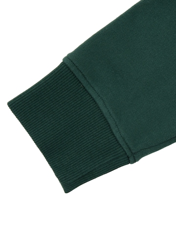 Sweat-shirt 'Women’s Organic Sweatshirt – Willow' Peter Jo en vert