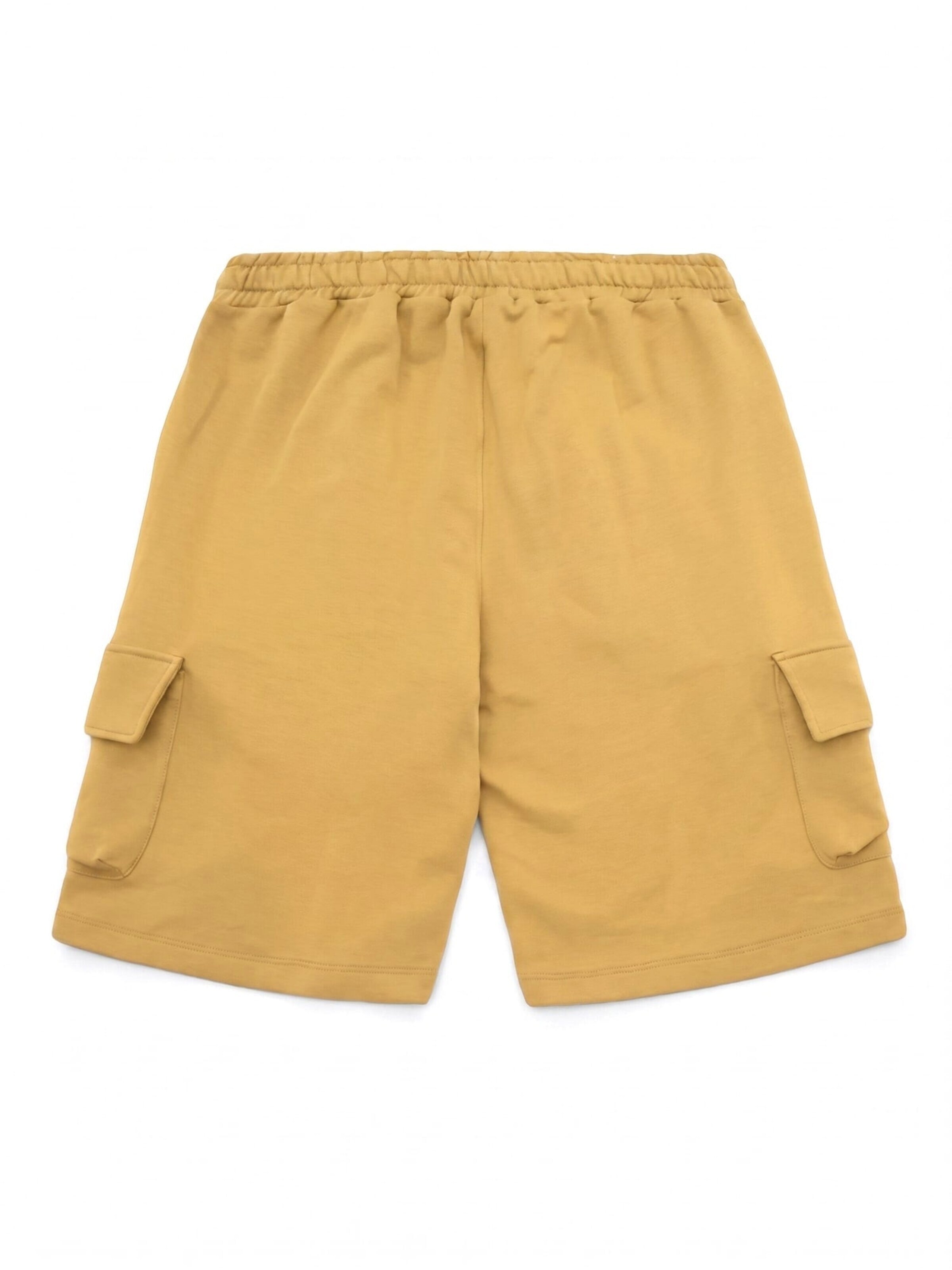 Baggy Pantalon 'KNIT CARGO SHORT BRONZE MIST' CAT en marron