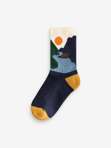 Chaussettes Next en bleu
