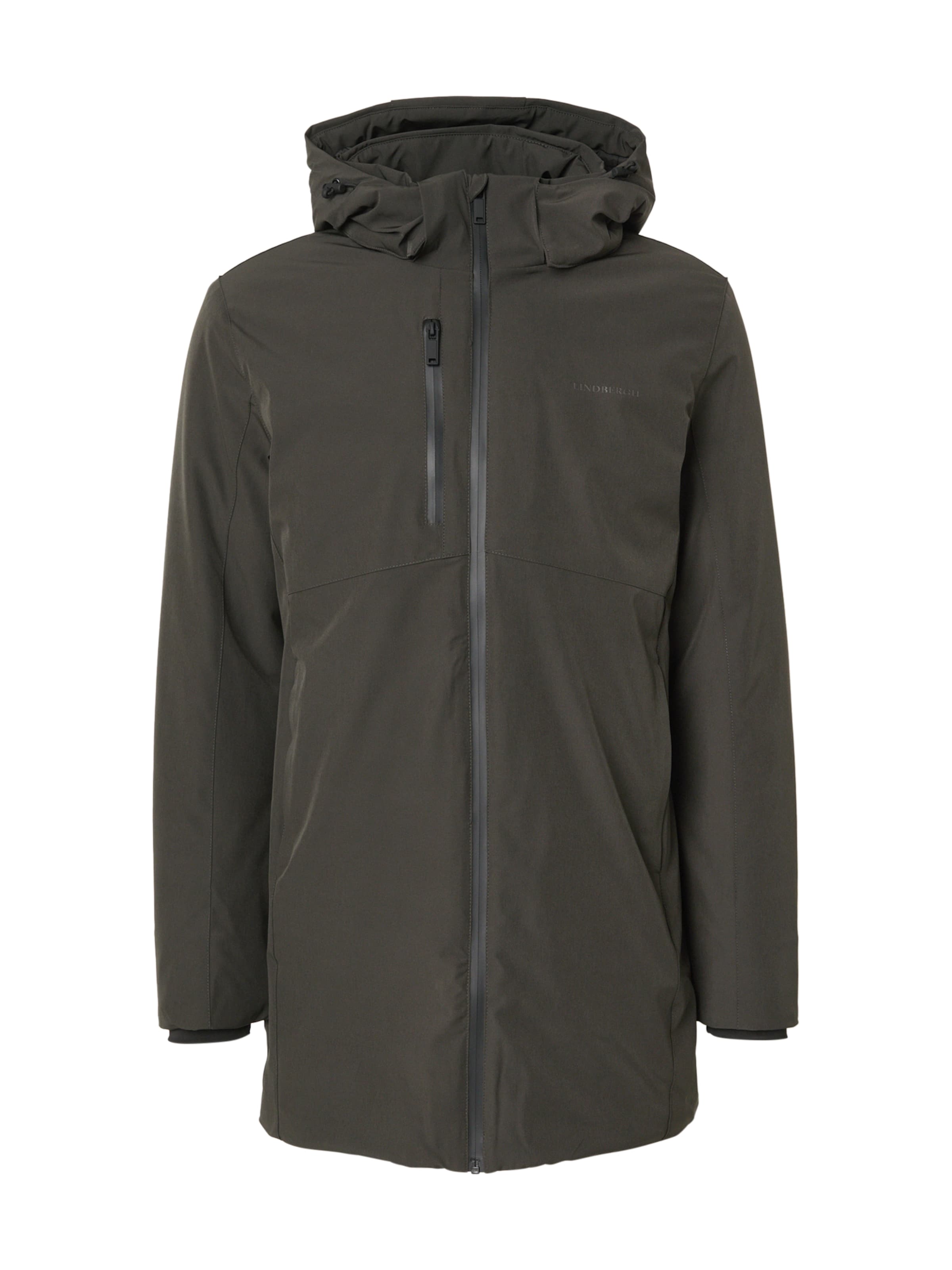 Lindbergh Ανοιξιάτικο ή φθινοπωρινό παρκά σε πράσινο: μπροστά