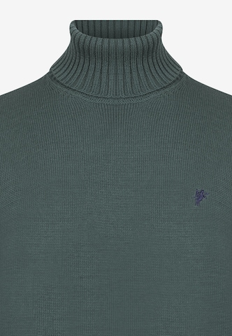 DENIM CULTURE Pullover 'Jason' in Grün