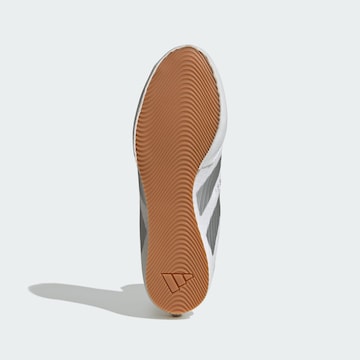 Chaussure de sport 'Box Hog 4' ADIDAS PERFORMANCE en blanc