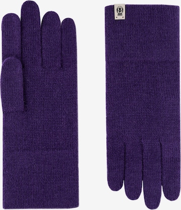 Roeckl Full Finger Gloves in Purple: front