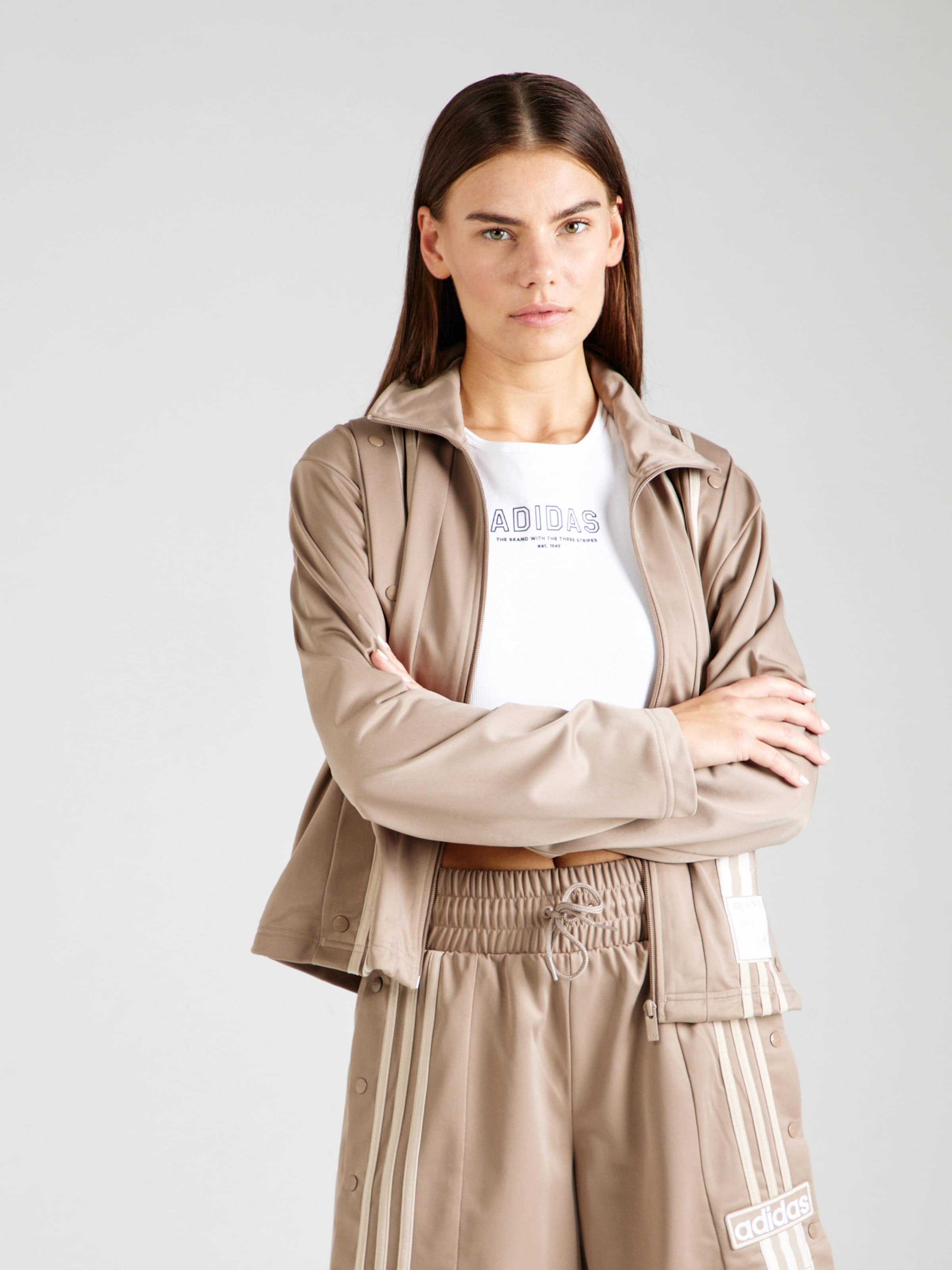 Survetement adidas marron new arrivals