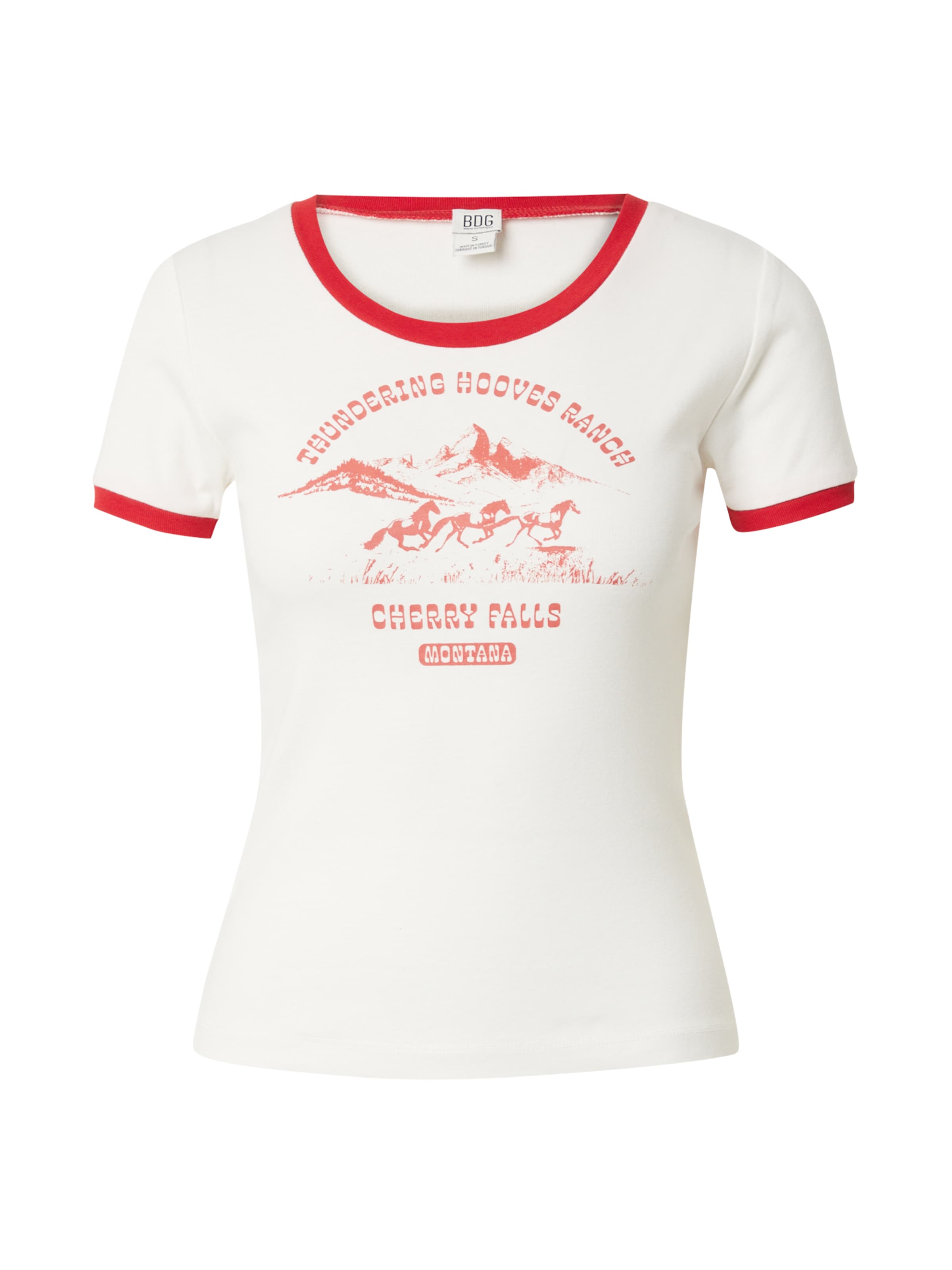 BDG Urban Outfitters Μπλουζάκι 'WESTERN' σε λευκό: μπροστά