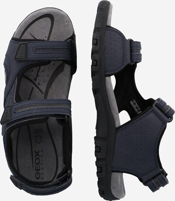 GEOX Hiking Sandals 'Strada' in Blue