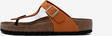 BIRKENSTOCK Teenslippers 'Gizeh' in Bruin: voorkant