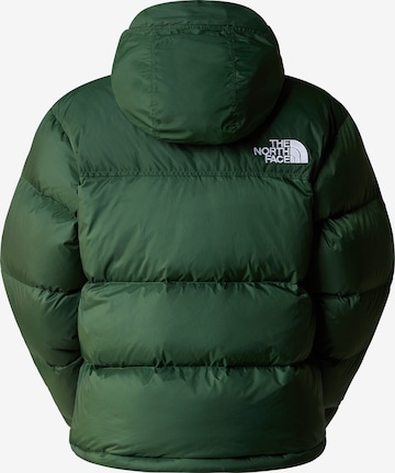 THE NORTH FACE Зимняя куртка в Зеленый