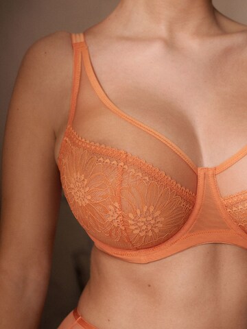 Bustino Reggiseno di Next in blu
