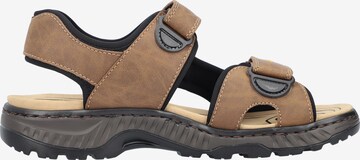 Rieker Hiking Sandals in Brown