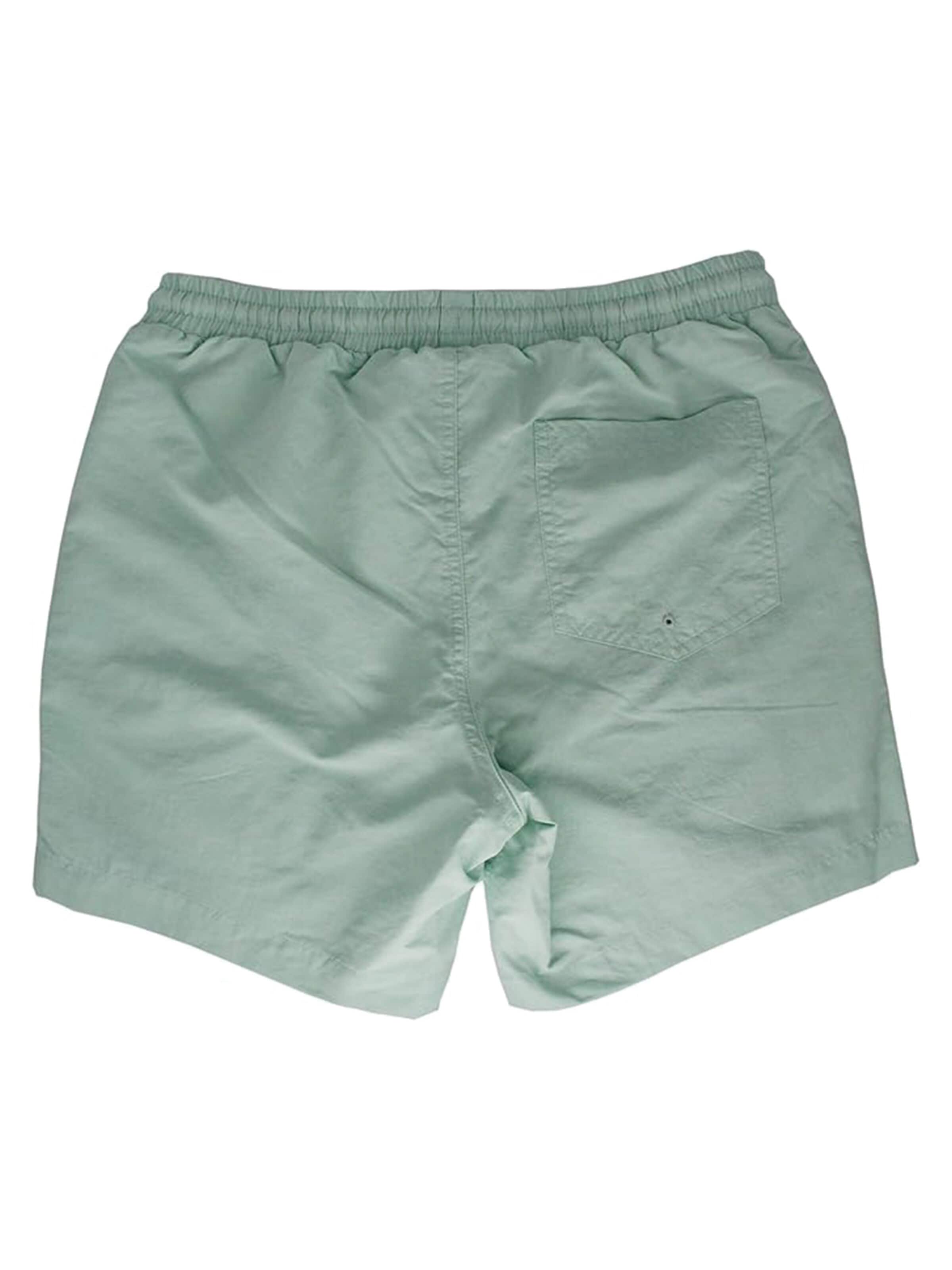 Surf Monkey Swimming Trunks in Blue