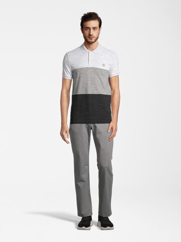 AÉROPOSTALE Poloshirt 'STREAKY' in Grau