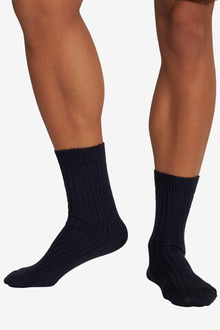 JP1880 Socks in Blue: front