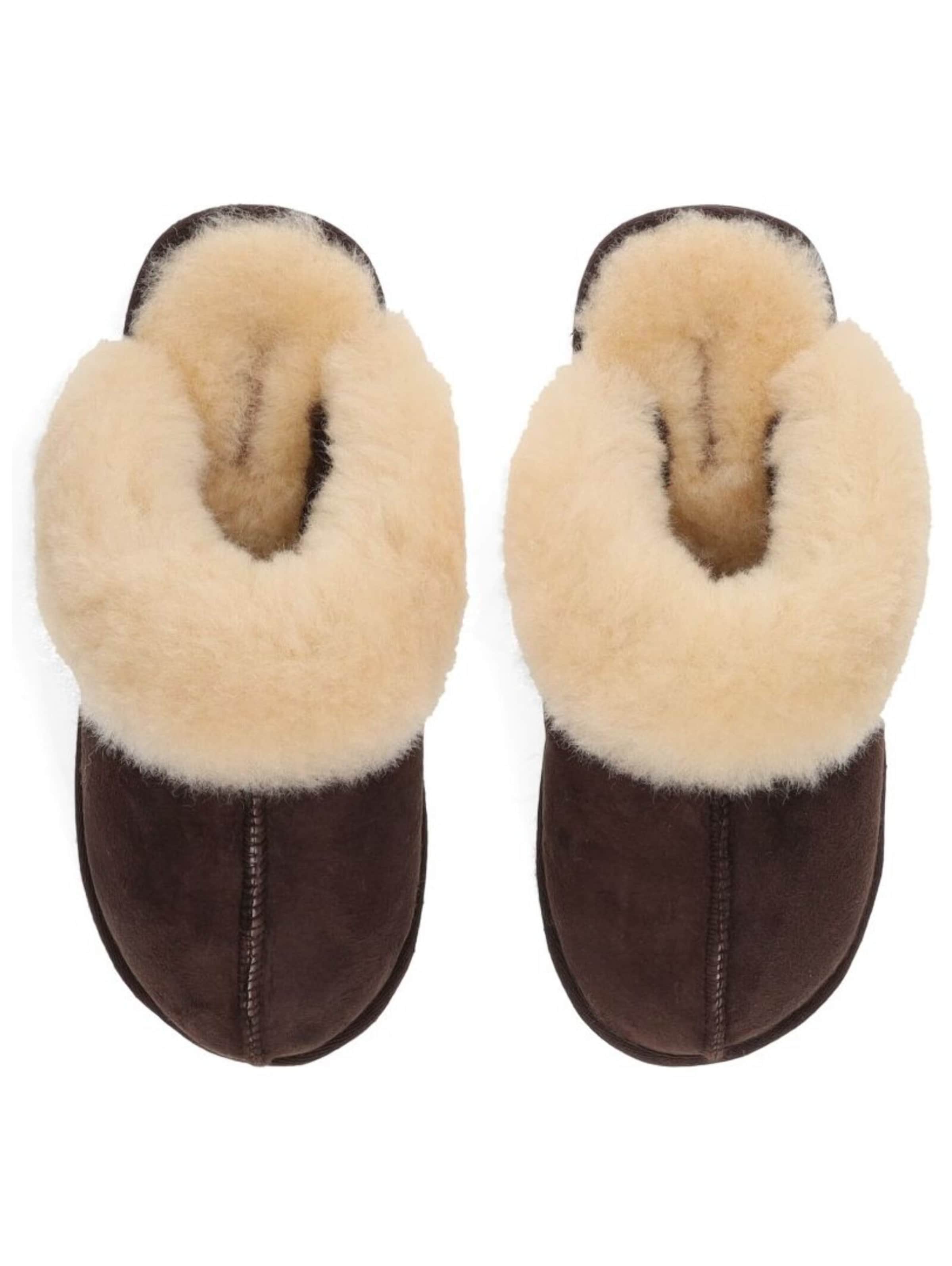 SHEPHERD Slippers in Brown
