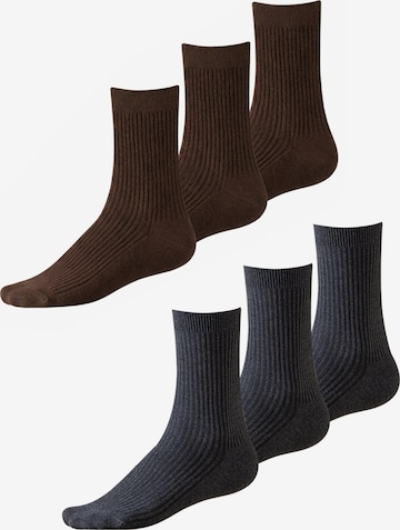 Millo Socks 'Cosy Steps Mix' in Grey: front