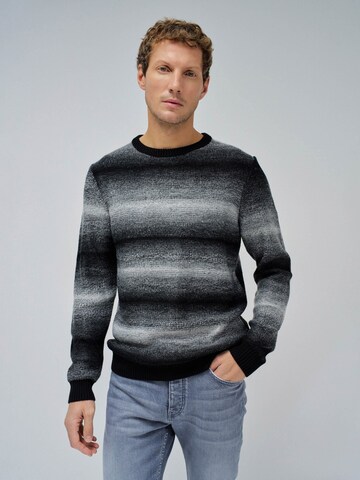 Salsa Jeans Trui in Grijs: voorkant