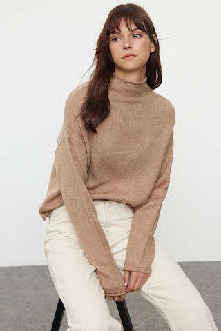 Trendyol Pulover | rjava barva