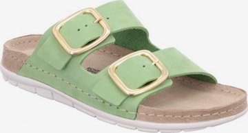 ROHDE Mules in Green: front