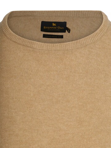 Steppin' out Sweater in Beige