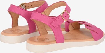 Apple of Eden Strap Sandals ' INEZ ' in Pink
